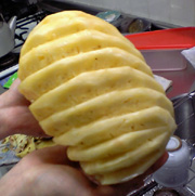 d0048140_30597.jpg