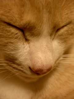 e0058443_1254281.jpg