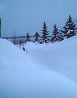 e0062444_20202499.jpg
