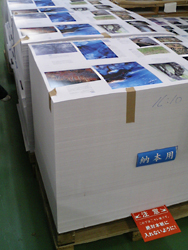 e0041948_2217564.jpg
