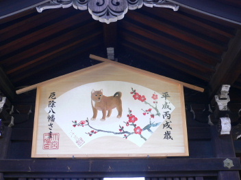 a0063364_032975.jpg