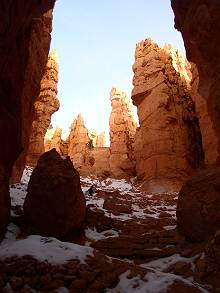 b0042468_148225.jpg