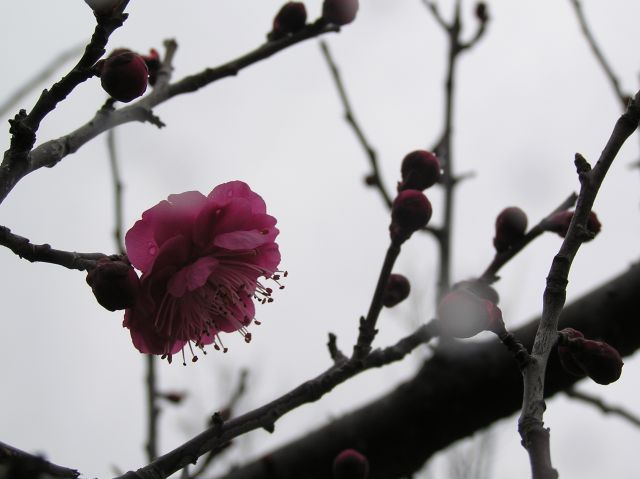 c0042869_2041258.jpg