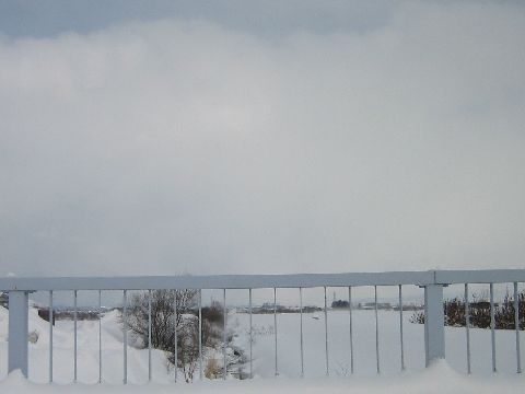 e0081184_13553954.jpg