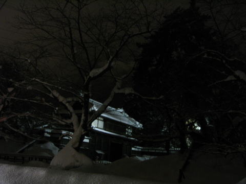 e0081184_14221572.jpg