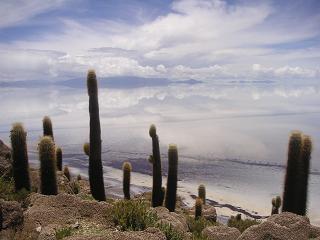 e0040591_80028.jpg