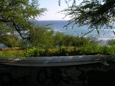 d0032693_4544626.jpg
