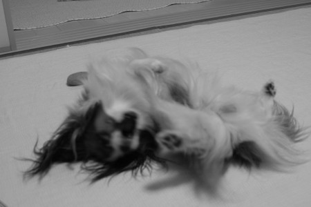 c0044199_23594991.jpg