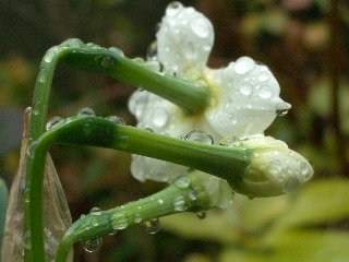 b0061107_23493436.jpg