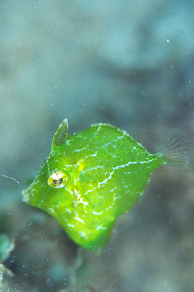 c0064907_0312525.jpg