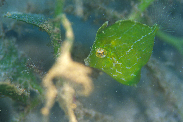 c0064907_0403240.jpg