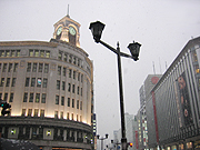 d0042618_128565.jpg