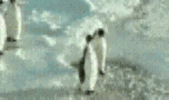 a0015730_012863.gif