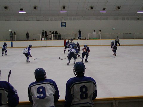 d0046531_17212272.jpg