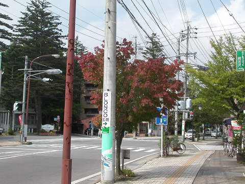 d0046531_1792126.jpg