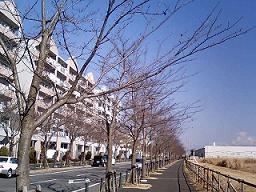 a0014840_23195955.jpg