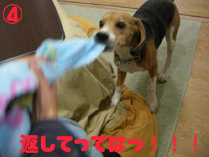 e0007060_19133570.jpg