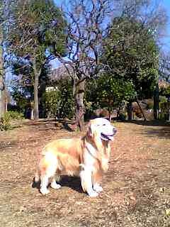 e0019967_16451376.jpg