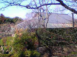 e0019967_16452463.jpg