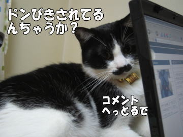 b0041182_7191189.jpg