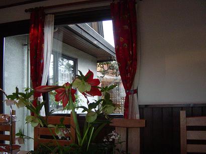 e0081284_1749301.jpg
