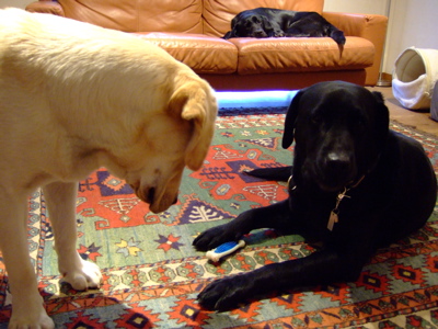 f0001698_022631.jpg