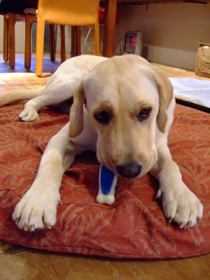 f0001698_0275677.jpg