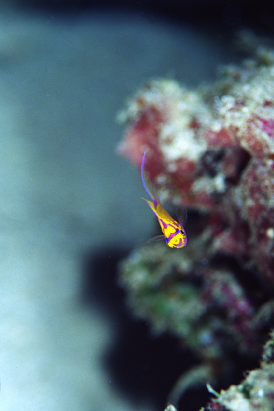 c0064907_23503513.jpg