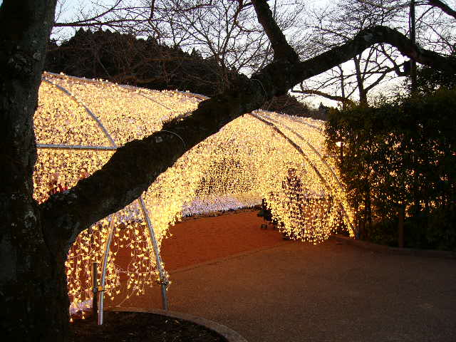 e0015108_115334.jpg