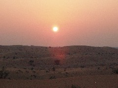 f0006724_2164495.jpg