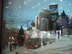 f0006724_2362444.jpg
