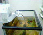 d0048332_17294132.jpg
