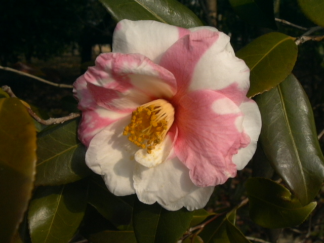 c0073633_19459100.jpg