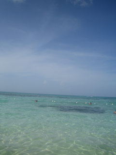 d0000937_9561662.jpg