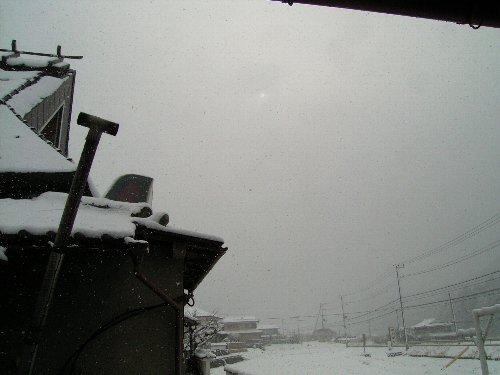 c0072843_20325041.jpg