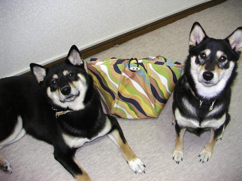 e0000946_22191111.jpg