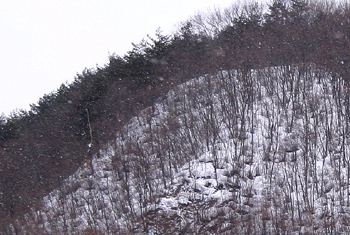 e0009049_13523291.jpg