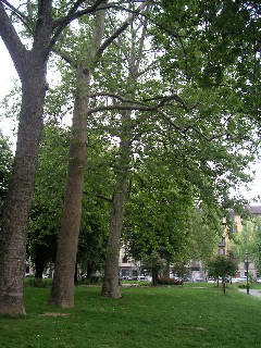 c0032863_2318557.jpg