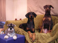 f0025769_1748669.jpg