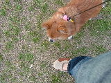 f0052071_1719325.jpg