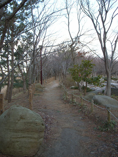 e0082981_19364650.jpg