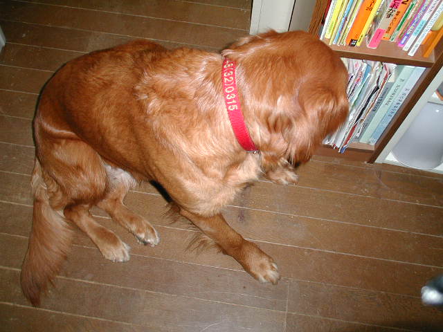 f0005081_8323092.jpg