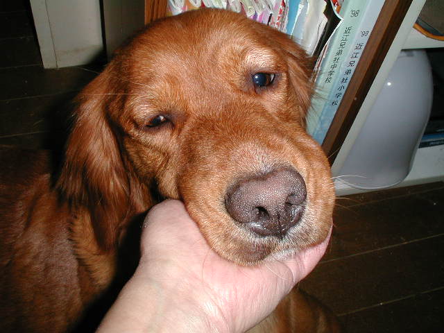 f0005081_8455447.jpg