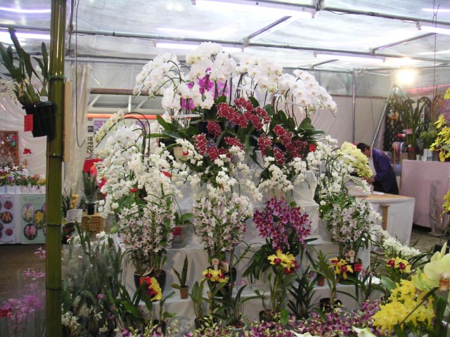 e0023183_210036.jpg