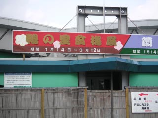 e0023183_262780.jpg