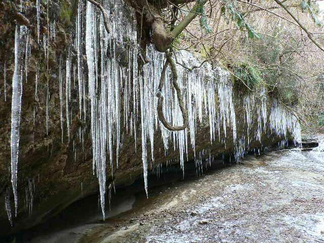 d0061286_4234934.jpg