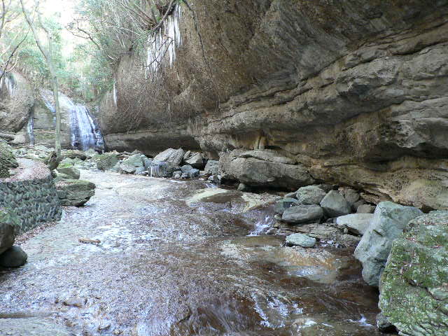 d0061286_4242375.jpg