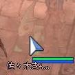 e0047588_3352131.jpg