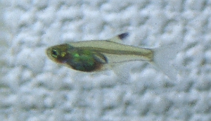 c0074591_129636.jpg