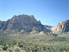 c0033994_115717.jpg